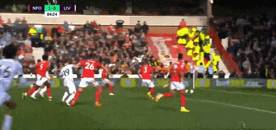 1666444329375060669.gif nfo liv 9.gif